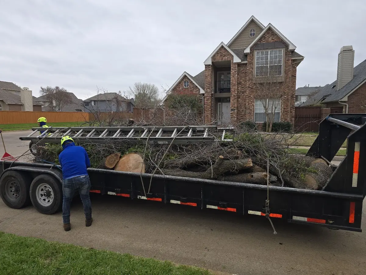 Expert Crown Reduction with proper safety equipment in Springerton